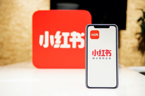 小紅書(shū)創(chuàng)作者中心上線，為優(yōu)質(zhì)創(chuàng)作者帶來(lái)專(zhuān)業(yè)成長(zhǎng)新機(jī)遇